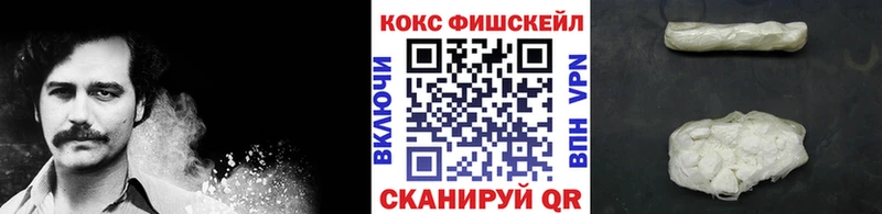 Cocaine FishScale  Купить где  Арзамас 